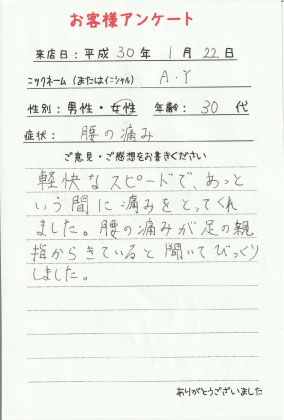 ���q�l�A���P�[�g�@A.Y�l